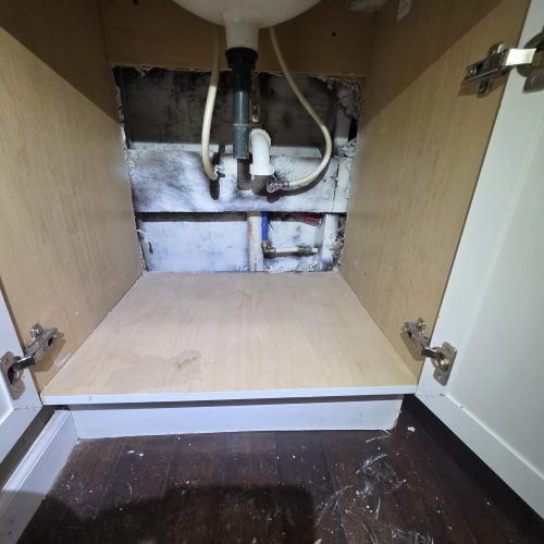 WhatsApp Image 2026-04-10 at 12.07.42 PM (1)